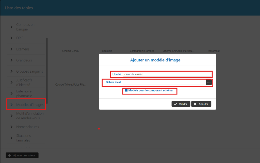 Créer et utiliser vos propres modèles d’images pour annoter dans DrSanté